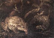SCHRIECK, Otto Marseus van Still-Life with Insects and Amphibians (detail) qr oil on canvas